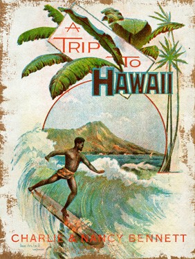 A Trip To Hawaii