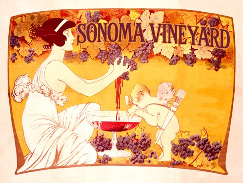 Sonoma Vineyard