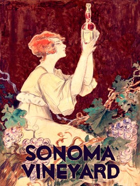 Sonoma Vineyard 2
