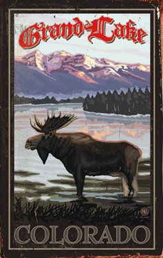 Moose at Lake Front