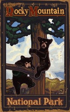 Bears in Tree