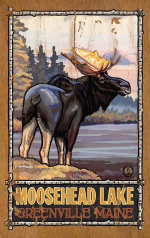 Moose at Lakes Edge