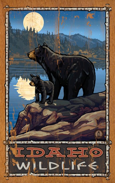 Bear and Cub at Lakes Edge