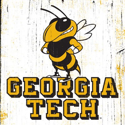 Georgia Tech University Buzz