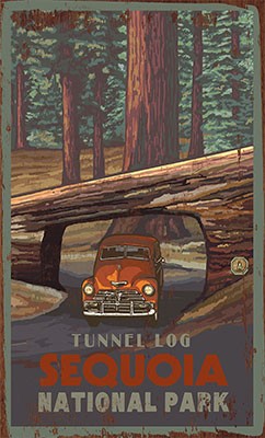 Tunnel Log Sequoia National Park