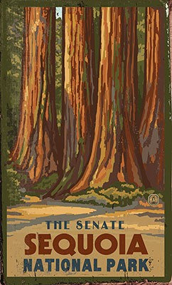 The Senate Sequoia National Park