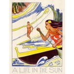 A Life in the Sun