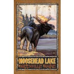Moose at Lakes Edge