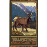 Yellowstone Back Country
