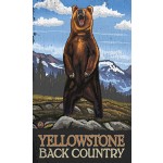 Yellowstone Back Country